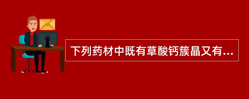 下列药材中既有草酸钙簇晶又有非腺毛的是( )