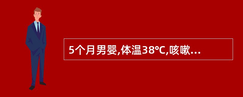 5个月男婴,体温38℃,咳嗽、喘憋明显。查体:呼吸急促,鼻扇三凹征明显,双肺听诊