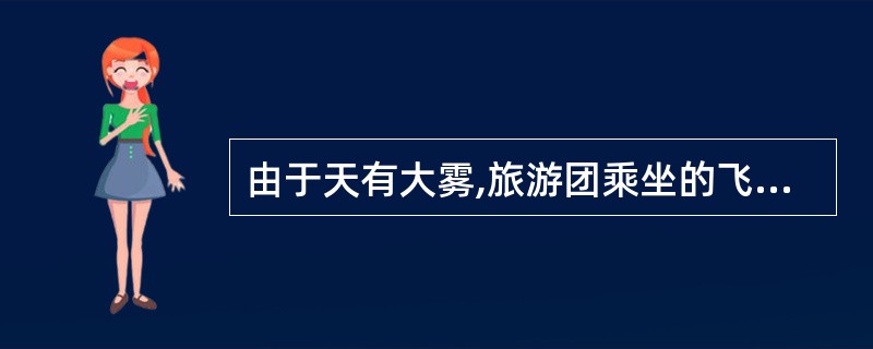 由于天有大雾,旅游团乘坐的飞机延迟了2个小时到达北京,北京地接社的导游没有接到飞