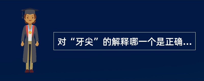 对“牙尖”的解释哪一个是正确的( )