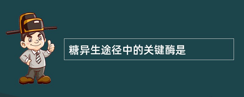 糖异生途径中的关键酶是