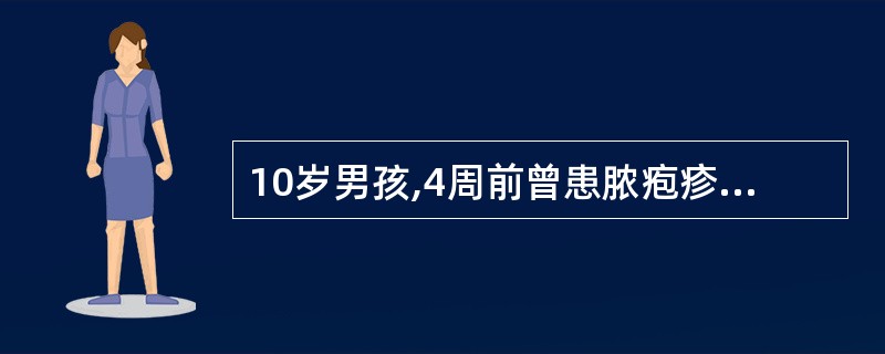 10岁男孩,4周前曾患脓疱疹,3天来眼睑浮肿,尿少,肉眼血尿,血压20£¯14k