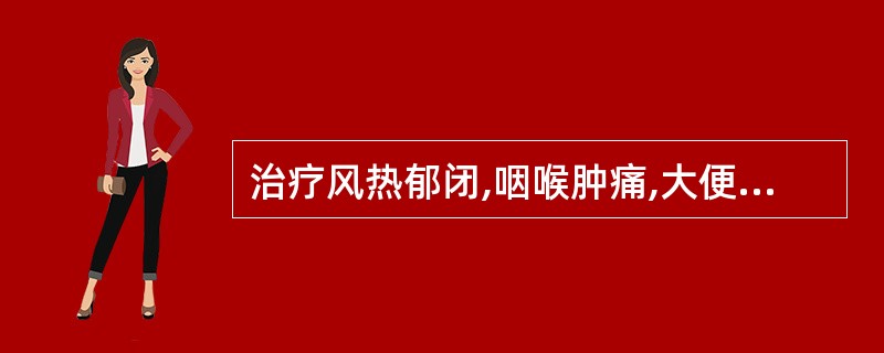 治疗风热郁闭,咽喉肿痛,大便秘结者.应首选