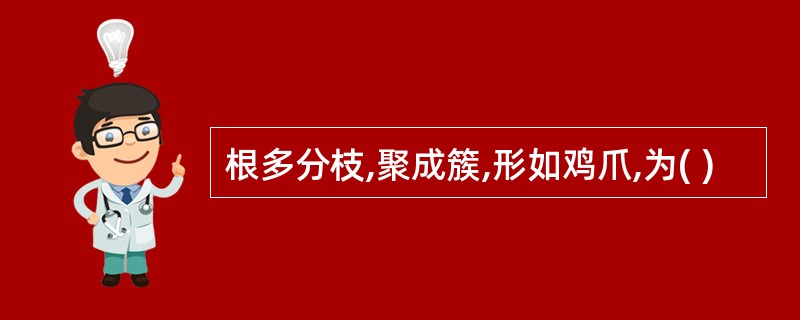 根多分枝,聚成簇,形如鸡爪,为( )