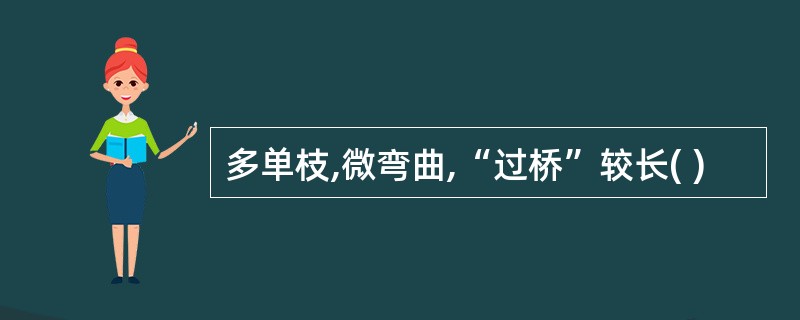 多单枝,微弯曲,“过桥”较长( )