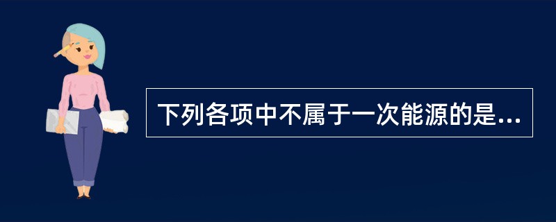 下列各项中不属于一次能源的是( )。