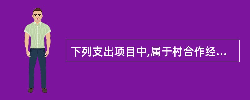 下列支出项目中,属于村合作经济组织管理费用的是( )。