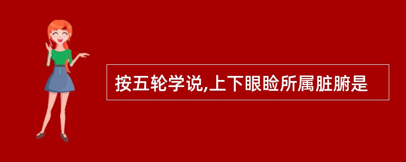 按五轮学说,上下眼睑所属脏腑是