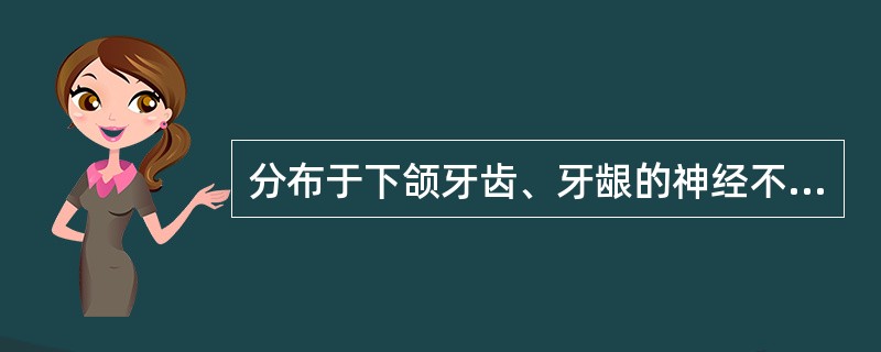 分布于下颌牙齿、牙龈的神经不包括( )