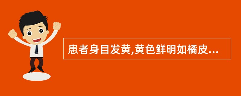 患者身目发黄,黄色鲜明如橘皮,腹部痞满,肢体困重,便溏尿黄,舌红苔黄腻,脉濡数。