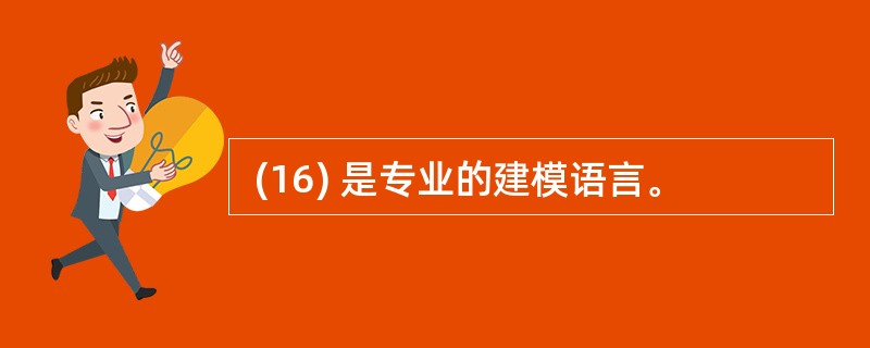  (16) 是专业的建模语言。