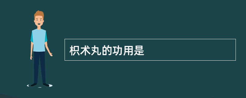 枳术丸的功用是