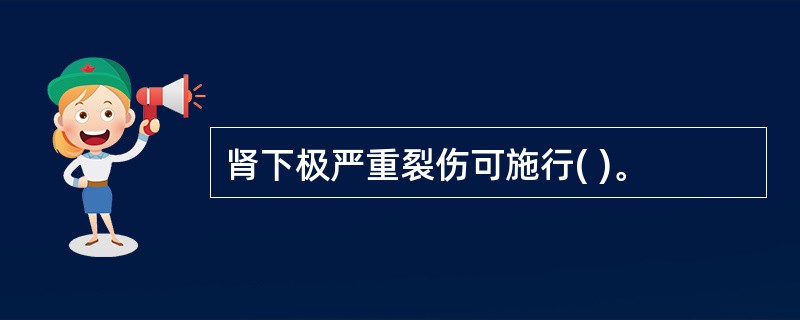 肾下极严重裂伤可施行( )。