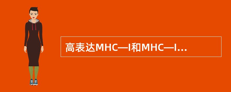 高表达MHC—I和MHC—II类分子的细胞是( )