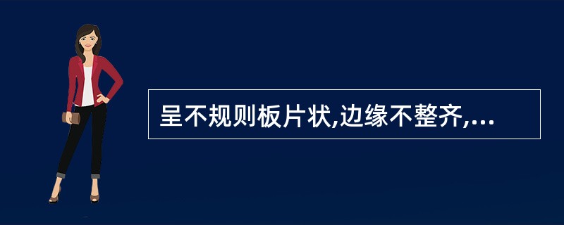 呈不规则板片状,边缘不整齐,色泽鲜艳,光亮如镜,习称(