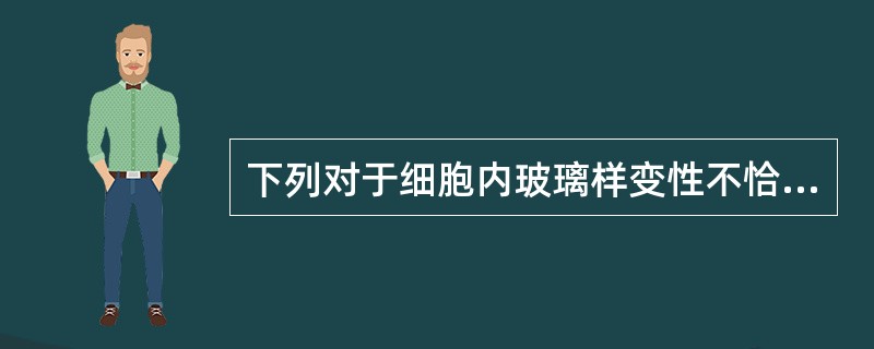 下列对于细胞内玻璃样变性不恰当的叙述为( )