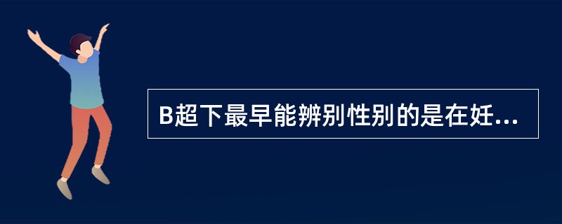 B超下最早能辨别性别的是在妊娠( )