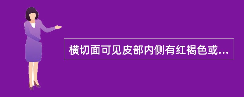 横切面可见皮部内侧有红褐色或黑棕色棚旨状分泌物,木部