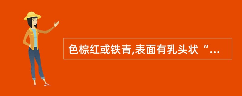 色棕红或铁青,表面有乳头状“钉头”断面显层叠状者是( )