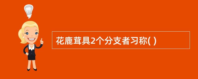 花鹿茸具2个分支者习称( )