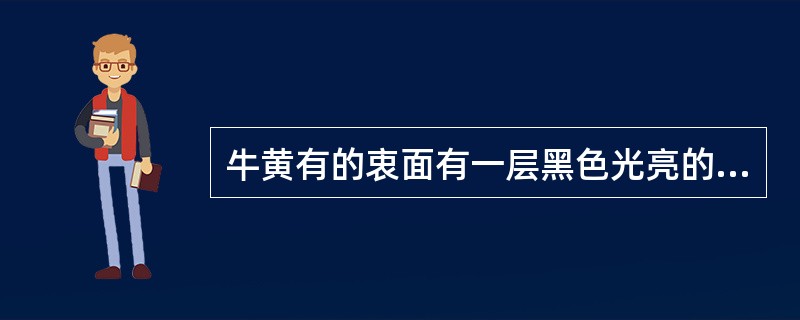 牛黄有的衷面有一层黑色光亮的薄膜,习称( )