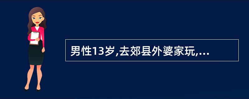 男性13岁,去郊县外婆家玩,在屋前的小河游泳后持续高热3d,伴畏寒,头痛。全身酸