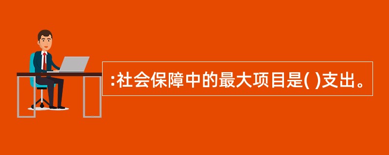 :社会保障中的最大项目是( )支出。