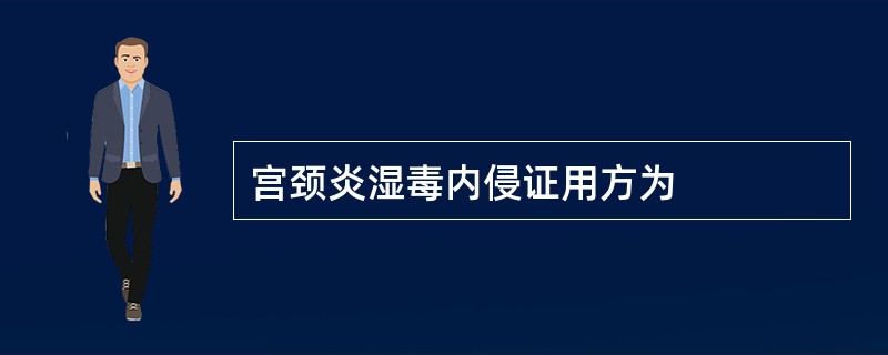 宫颈炎湿毒内侵证用方为