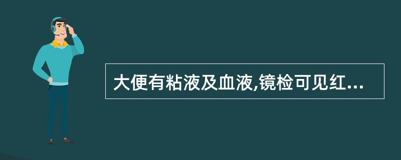 大便有粘液及血液,镜检可见红细胞、白细胞( )