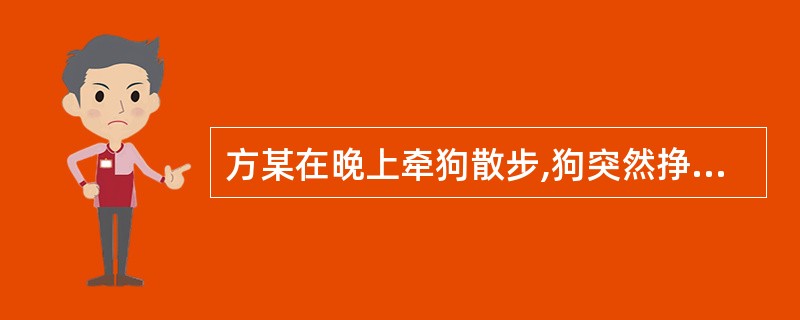 方某在晚上牵狗散步,狗突然挣脱绳索,奔向童某(3岁),并咬伤童某。当时童某父亲正