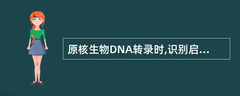 原核生物DNA转录时,识别启动子的因子是