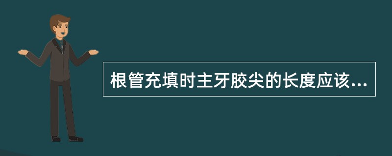 根管充填时主牙胶尖的长度应该是( )。