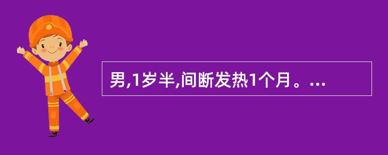 男,1岁半,间断发热1个月。体检:颈淋巴结肿大如蚕豆大,肝肋下5cm,脾肋下4c