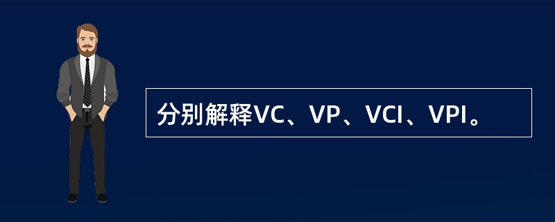 分别解释VC、VP、VCI、VPI。