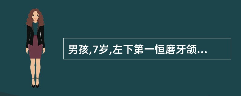 男孩,7岁,左下第一恒磨牙颌面深龋,探诊已穿髓,有疼痛反应,无叩痛,x线片显示: