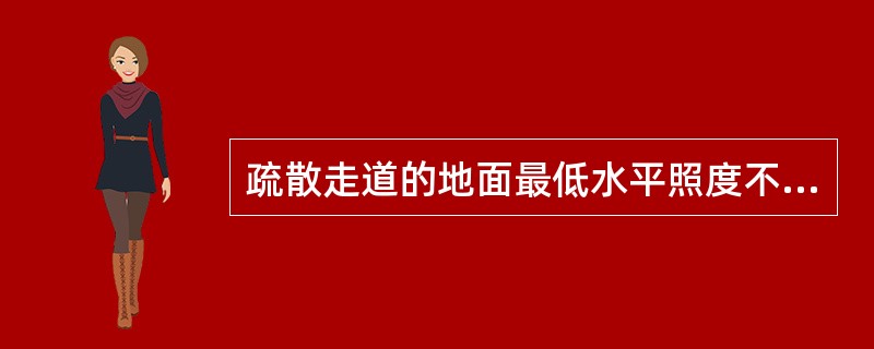 疏散走道的地面最低水平照度不应低于()lx