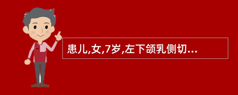 患儿,女,7岁,左下颌乳侧切牙松动Ⅲ度,侧切牙已于舌侧萌出牙冠的1£¯4,乳牙拔