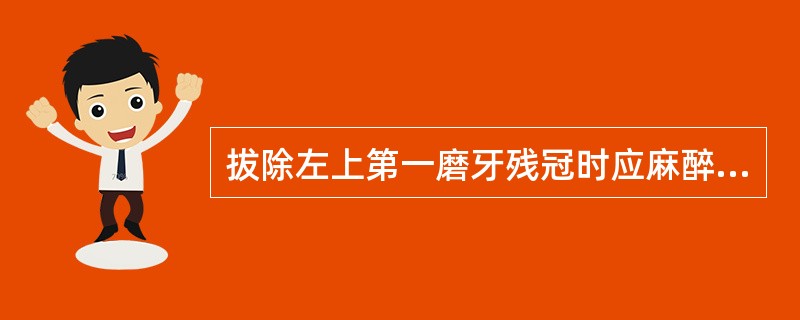 拔除左上第一磨牙残冠时应麻醉的神经是( )