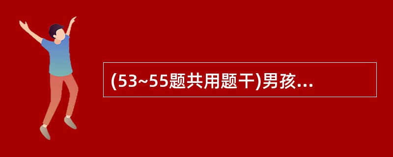 (53~55题共用题干)男孩,10岁,发热2周余,1周来左膝关节肿痛,4天来双踝