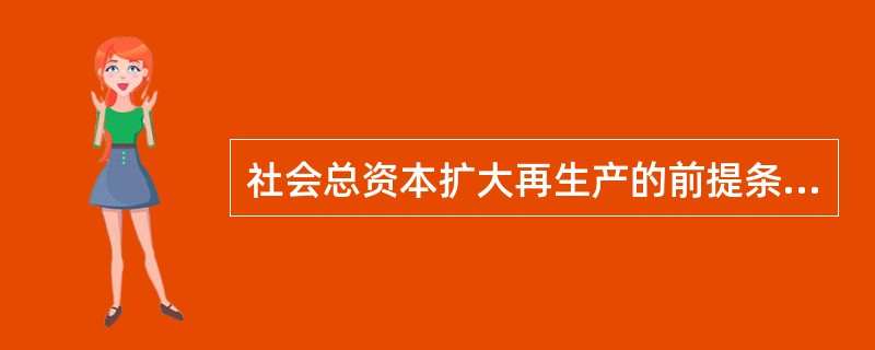 社会总资本扩大再生产的前提条件是( )