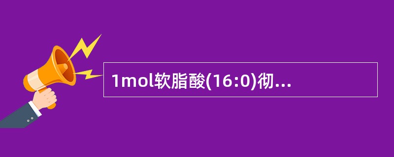 1mol软脂酸(16:0)彻底氧化成和水时,净生成ATP的摩尔数( )。