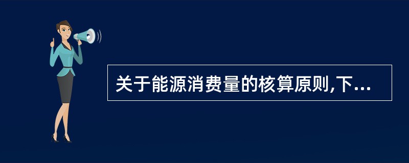 关于能源消费量的核算原则,下列各项中不正确的是( )。