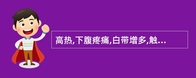 高热,下腹疼痛,白带增多,触诊宫旁两侧呈片状增厚压痛