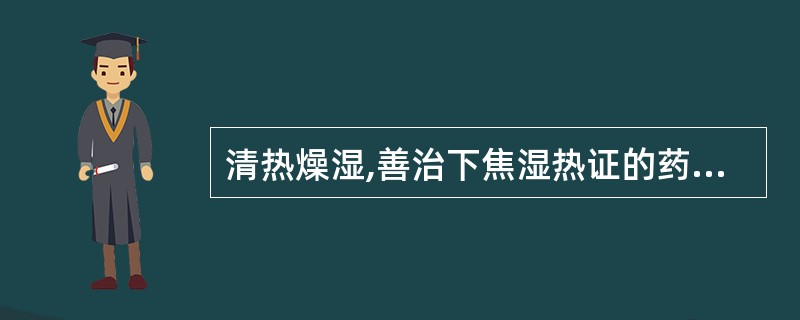 清热燥湿,善治下焦湿热证的药对宜选( )