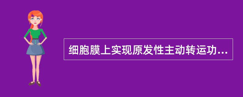 细胞膜上实现原发性主动转运功能的蛋白是