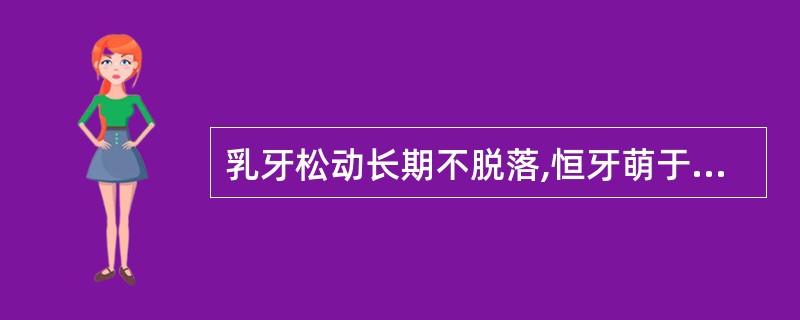 乳牙松动长期不脱落,恒牙萌于它的舌侧是因为( )。