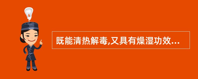 既能清热解毒,又具有燥湿功效的药物是( )。