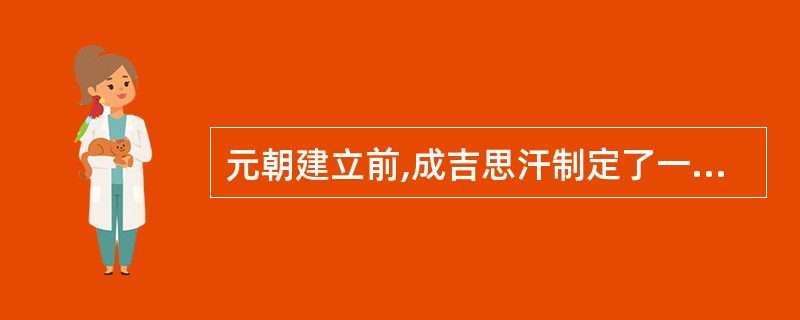 元朝建立前,成吉思汗制定了一部简单的成文法,其名称是()。