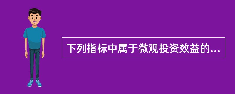 下列指标中属于微观投资效益的指标有( )。