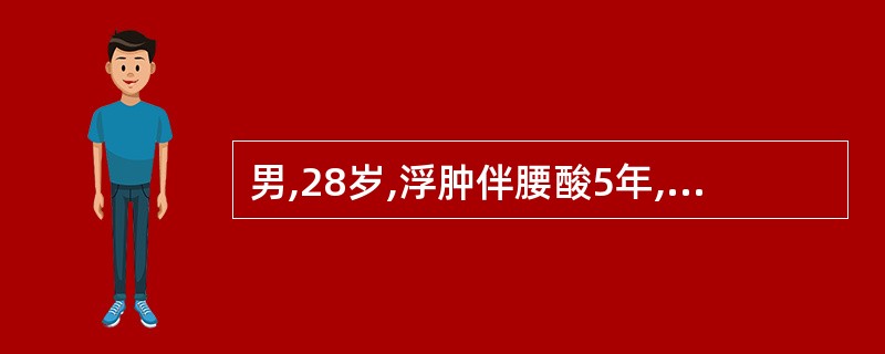 男,28岁,浮肿伴腰酸5年,血压160£¯100mmHg,尿蛋白(£«£«£«)